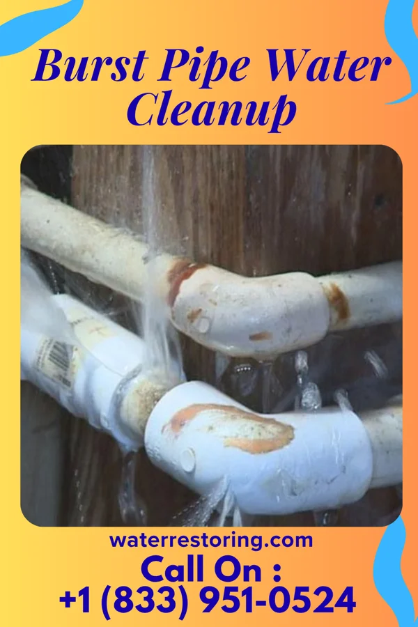 Burst Pipe Water Cleanup in Whites Landing, OH