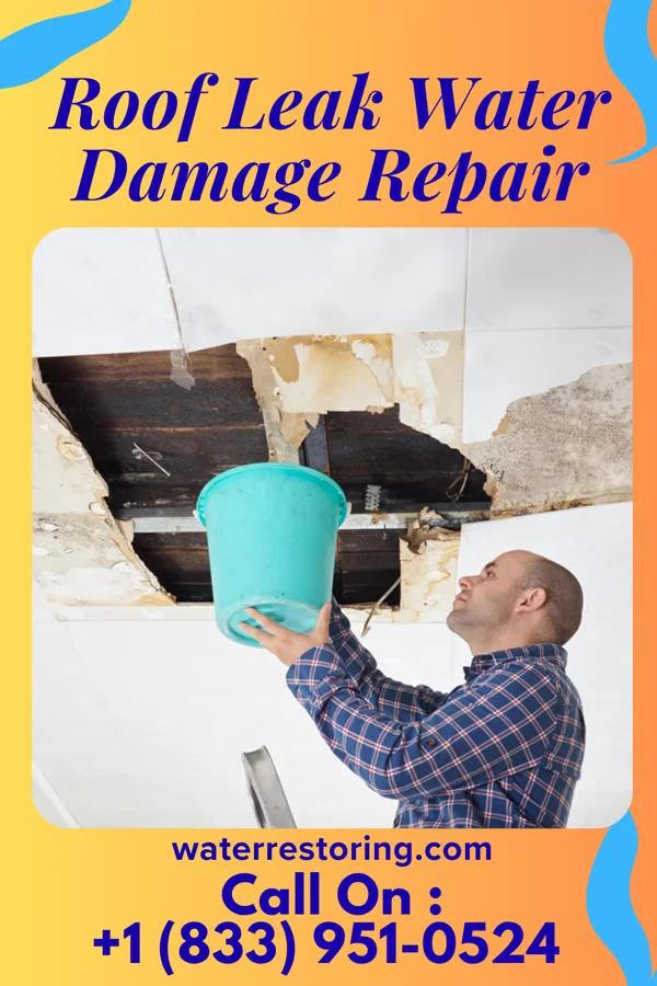 Roof Leak Water Damage Repair in Whites Landing, OH