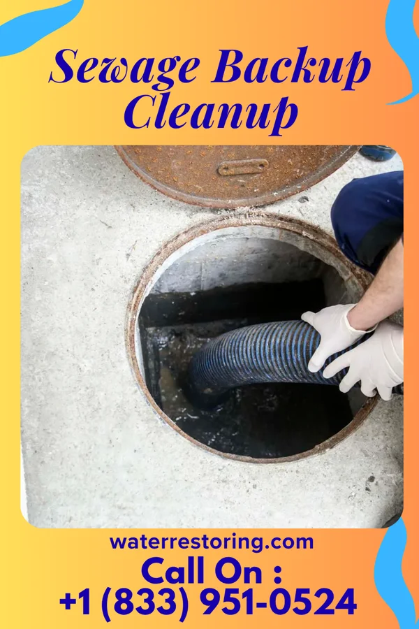 Sewage Backup Cleanup in Whites Landing, OH